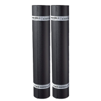 8080b6501a24fffea9c0ed158f612887