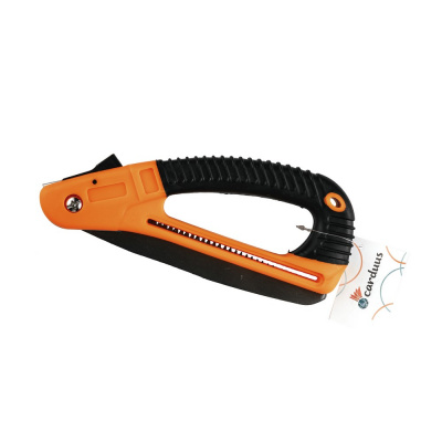 043_22-06-2023_Komarov