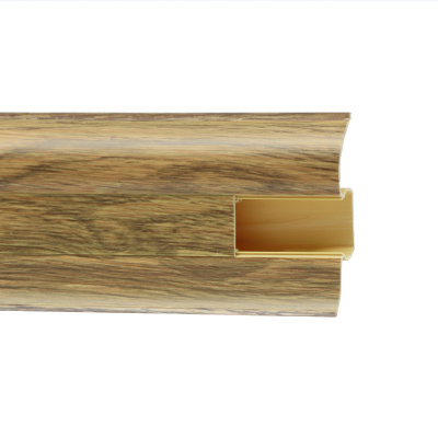 806 дуб скальный